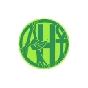 Ancient Healing Teas