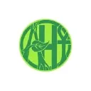 Ancient Healing Teas