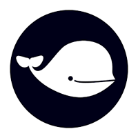 Belugacdn 联盟营销计划