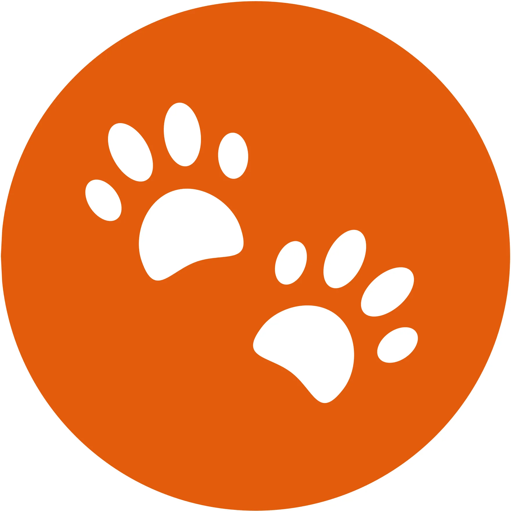 Talking Pet AI
