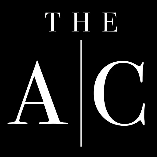 拍卖策展人（The Auction Curators）