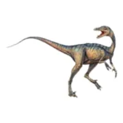 Troodon Media