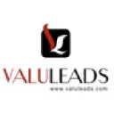 ValuLeads（价值线索）